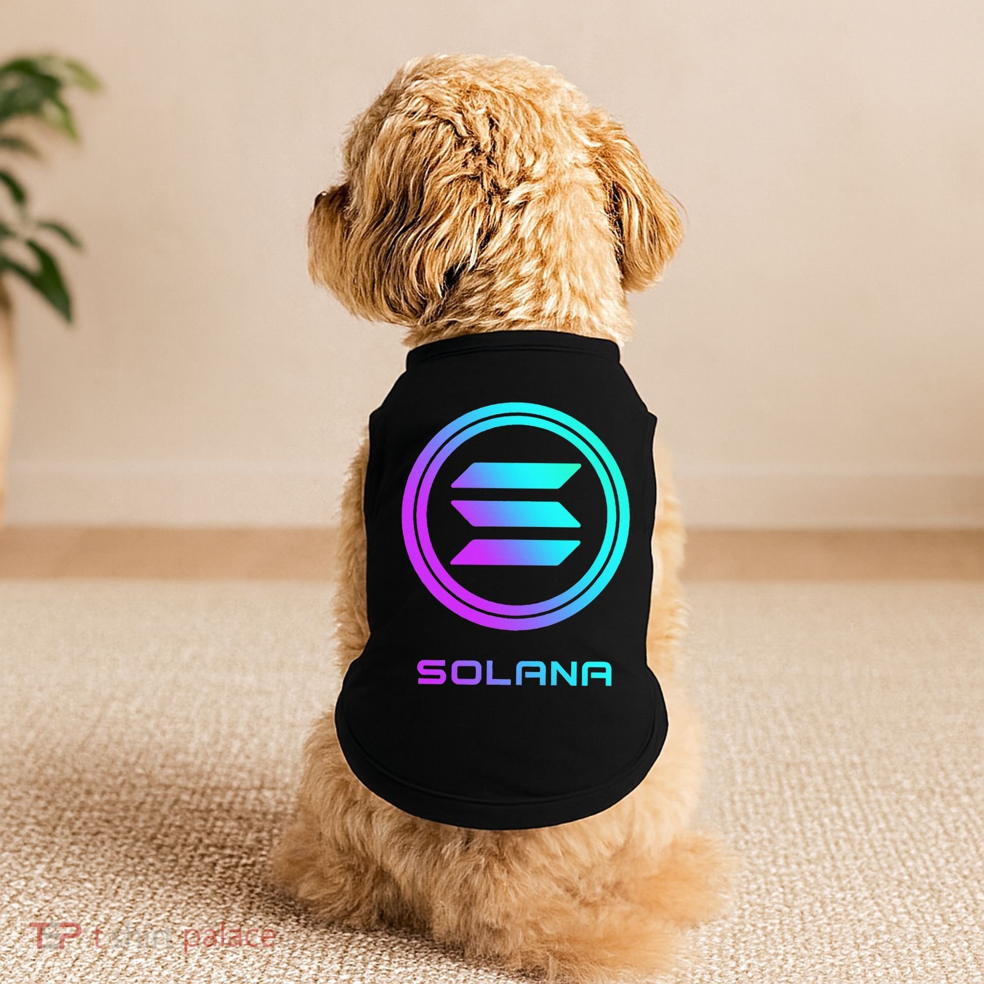 Solana Crypto Sol Coin Blockchain Decentralized Application Doggie Tank