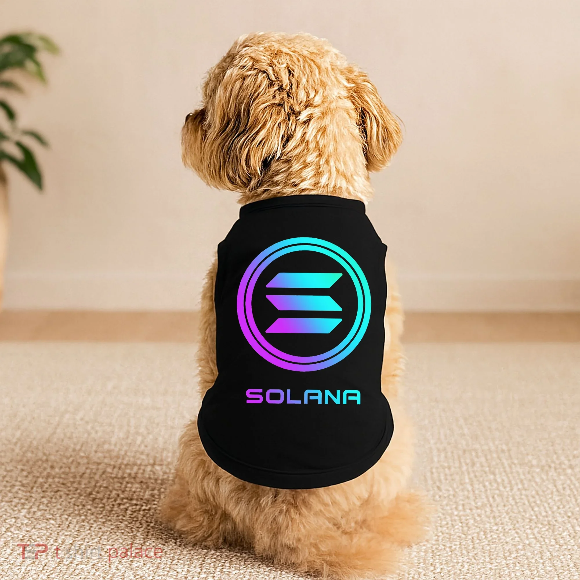 Solana Crypto Sol Coin Blockchain Decentralized Application Doggie Tank