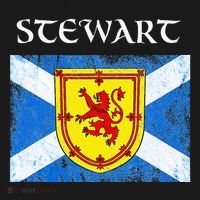 Stewart Clan Scottish Name Scotland Flag Hoodie thumb 7