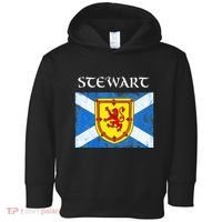 Stewart Clan Scottish Name Scotland Flag Toddler Hoodie thumb 0