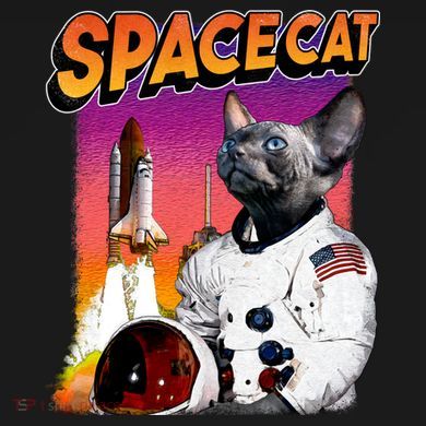 Space Cat Flat Bill Trucker Hat