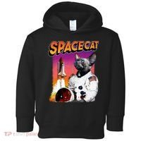 Space Cat Toddler Hoodie thumb 0