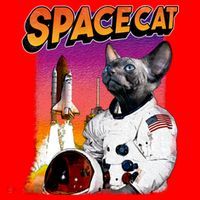Space Cat Santa Hat thumb 1