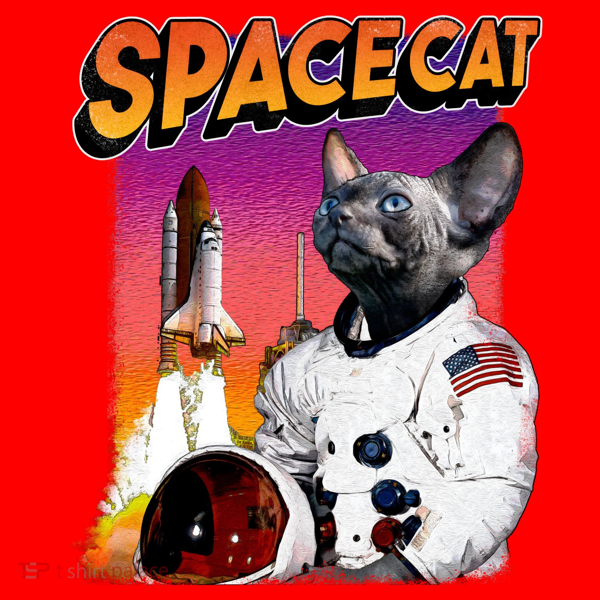 Space Cat Santa Hat