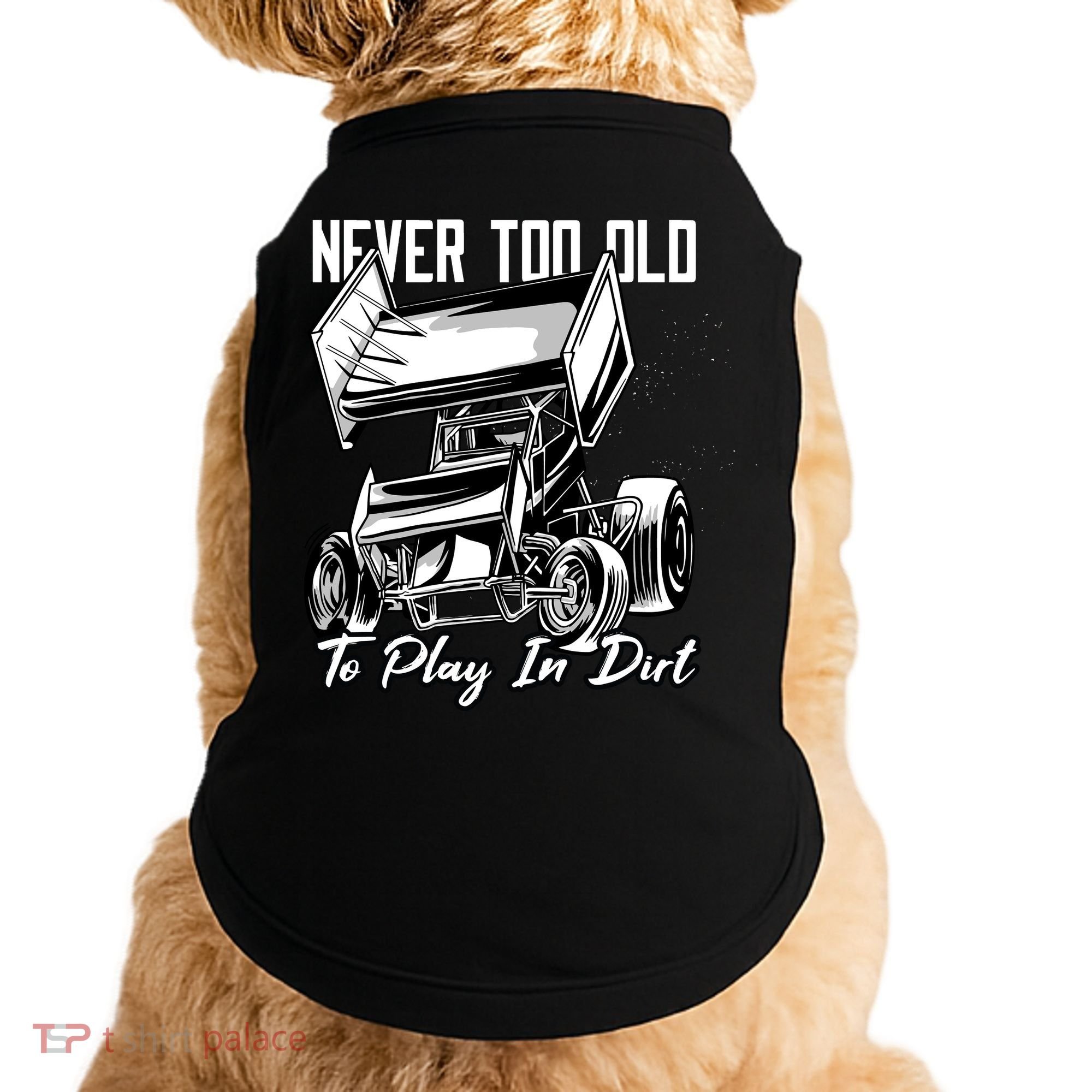 Sprint Car Doggie Tank