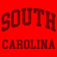 South Carolina Santa Hat thumb 1