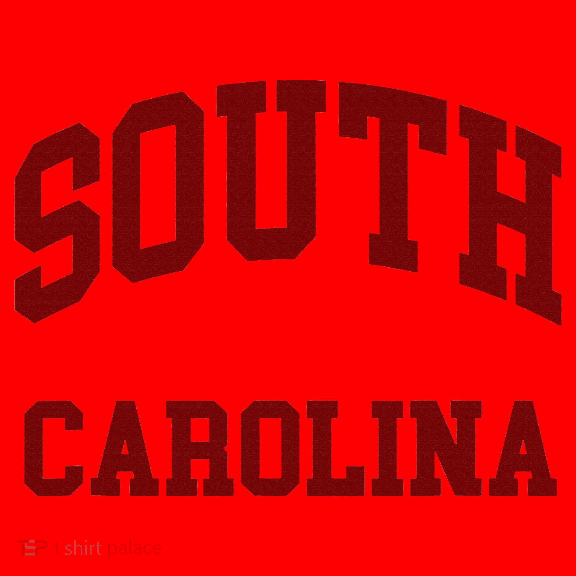 South Carolina Santa Hat