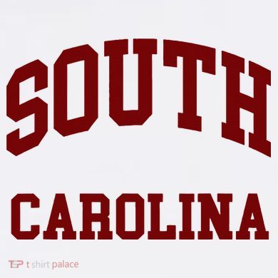 South Carolina Toddler Sweatshirt