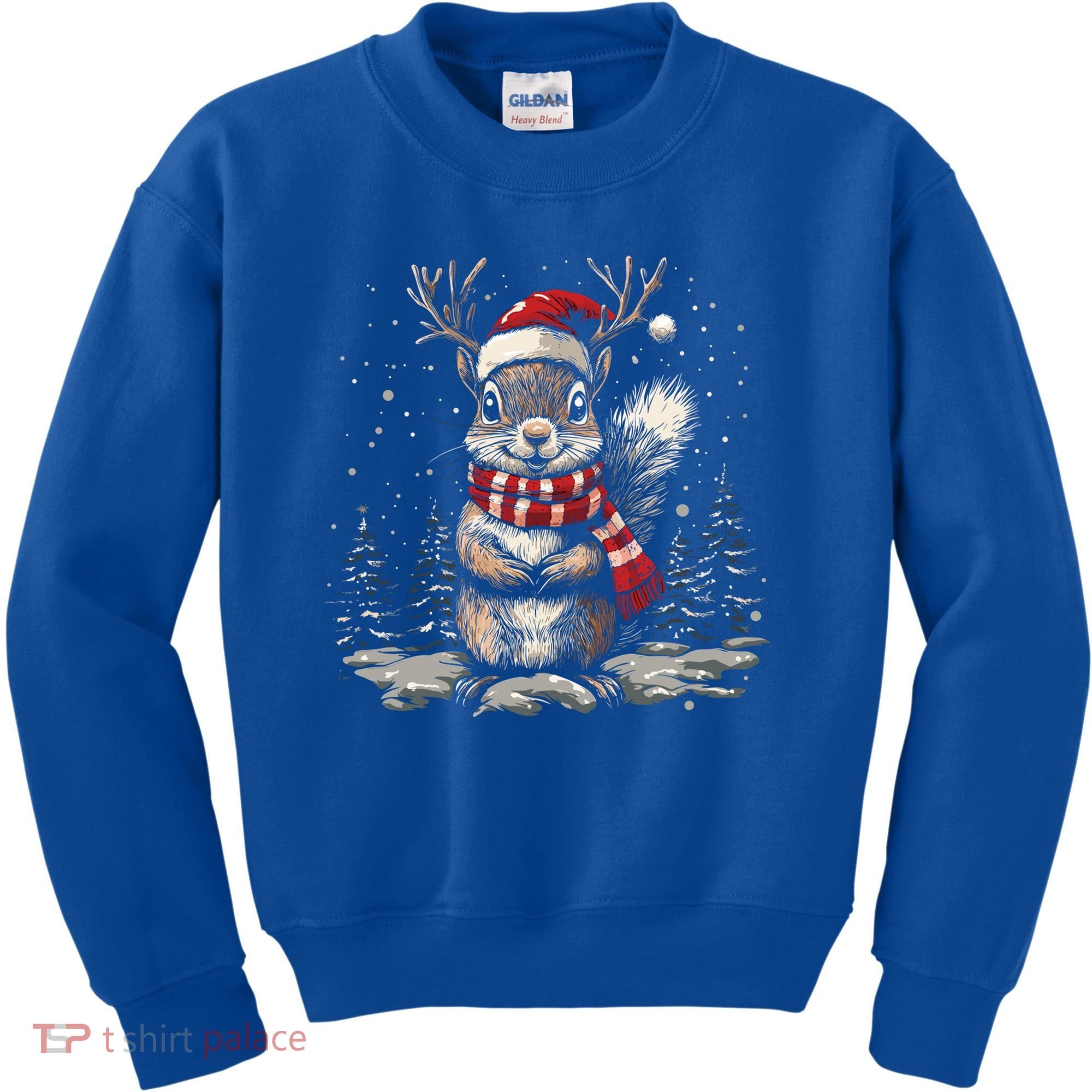Squirrel Christmas Santa Hat Pajama Funny Squirrel Xmas Gift Kids Sweatshirt