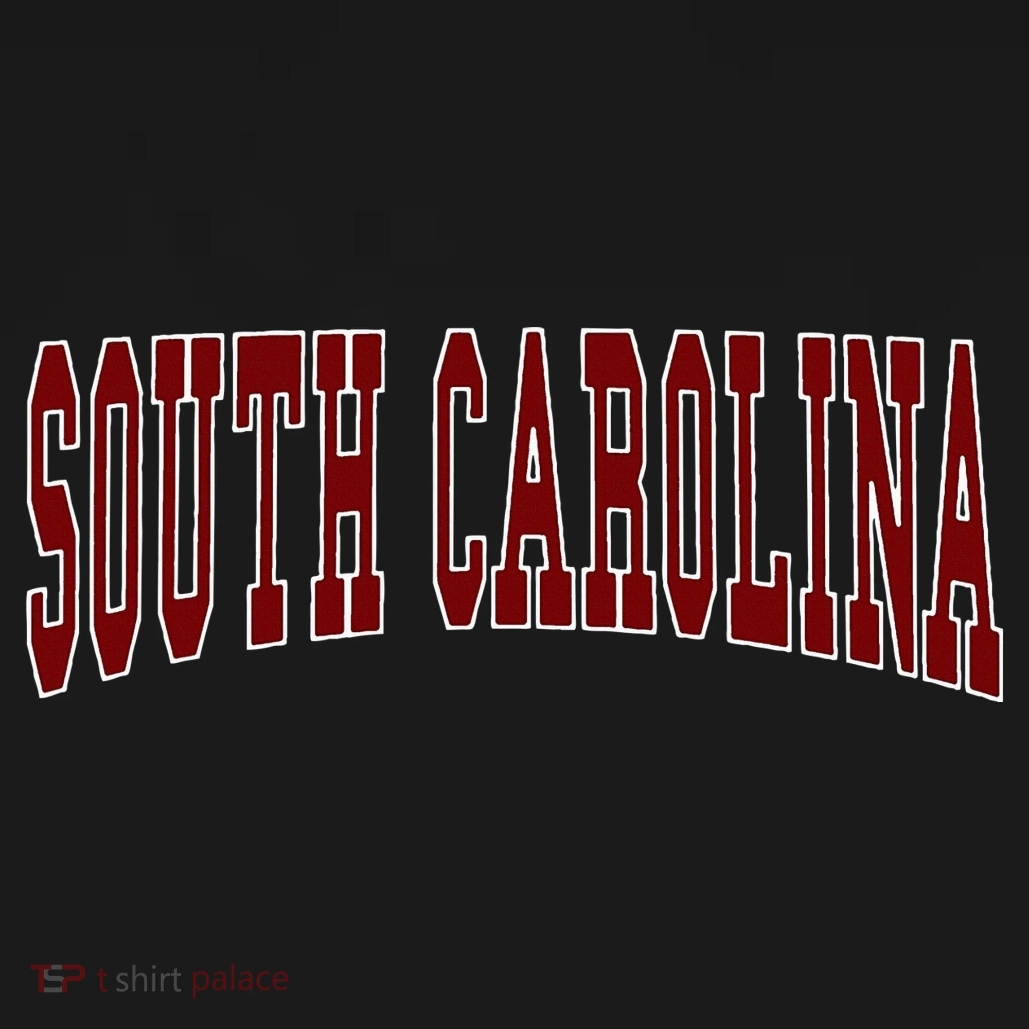 South Carolina Hoodie