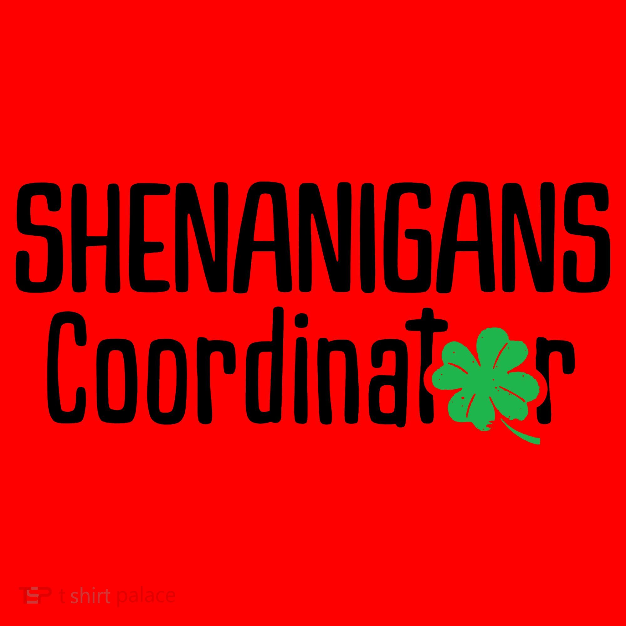 Shenanigans Coordinator St Patrick's Day Santa Hat