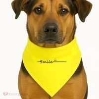 Smile Cute Smiley Face Gift USA-Made Doggie Bandana thumb 1