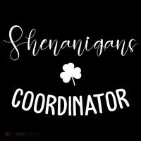 Shenanigans Coordinator Kids T-Shirt thumb 4