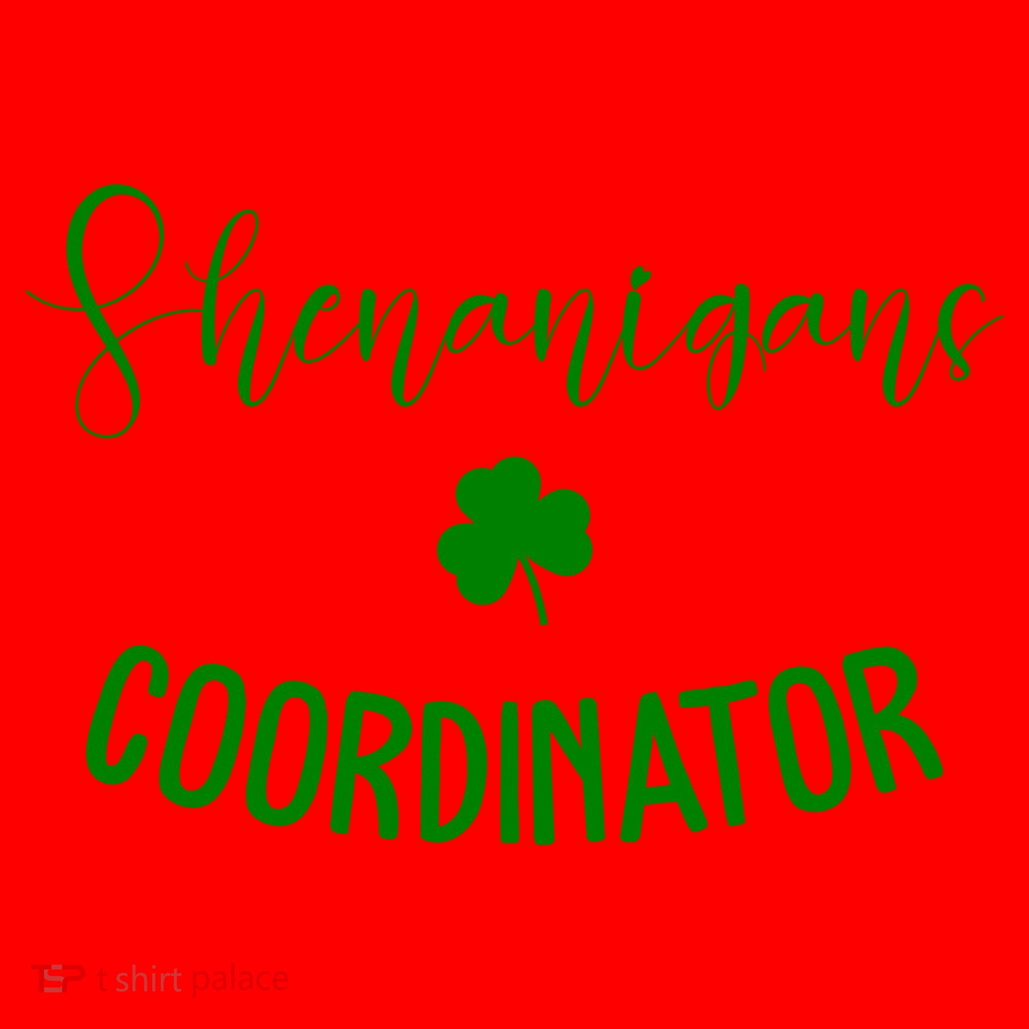 Shenanigans Coordinator Santa Hat