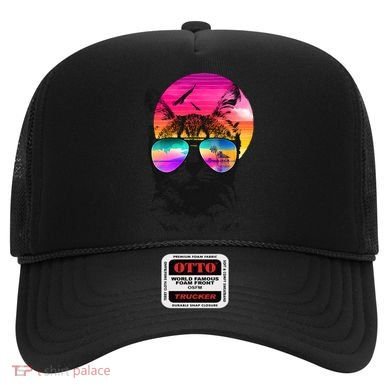 Summer Cat Hat