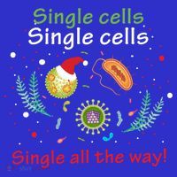 Single Cells Single Cells Science Biology Christmas Gift Women's T-Shirt thumb 6