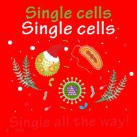 Single Cells Single Cells Science Biology Christmas Gift Santa Hat thumb 1