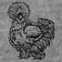 Silkie Chicken Toddler Hoodie thumb 2
