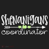 Shenanigans Coordinator Teacher St Patricks Day Shenanigans Women's Sweatshirt thumb 2