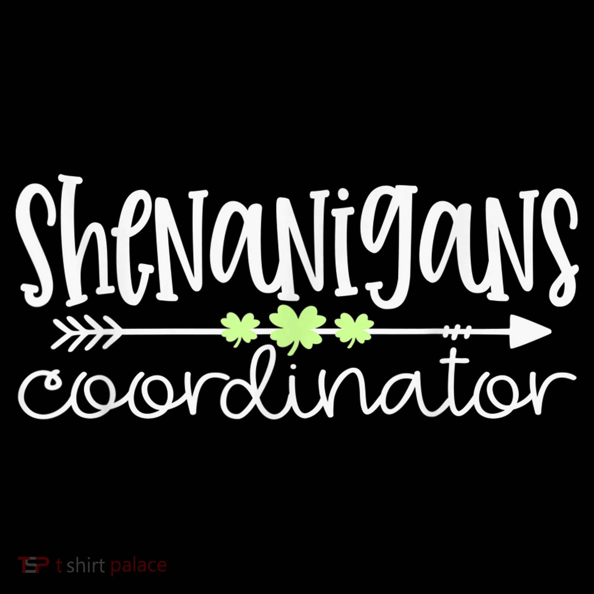 Shenanigans Coordinator Teacher St Patricks Day Shenanigans Apron