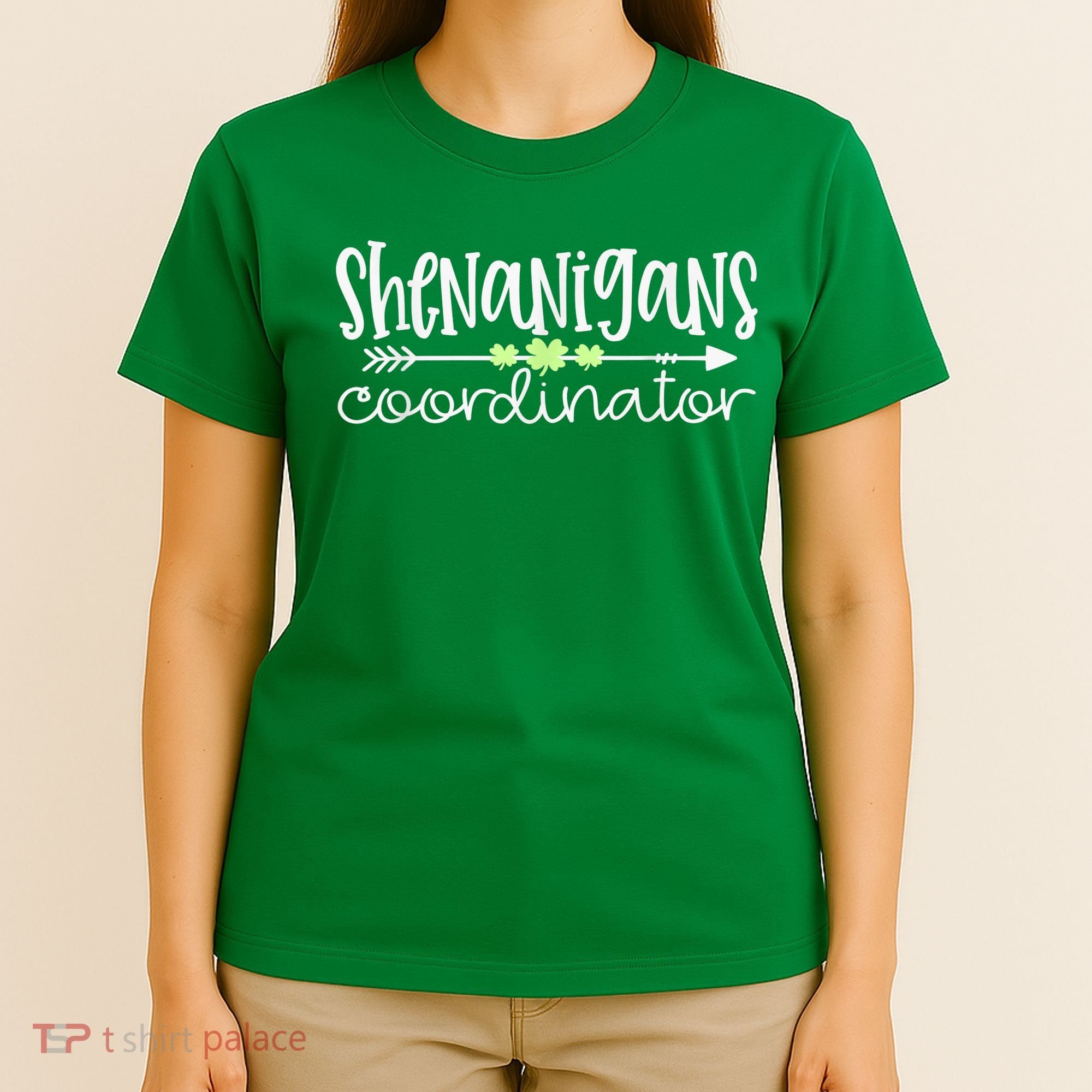 Shenanigans Coordinator Teacher St Patricks Day Shenanigans T-Shirt