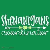 Shenanigans Coordinator Teacher St Patricks Day Shenanigans Ornament thumb 1