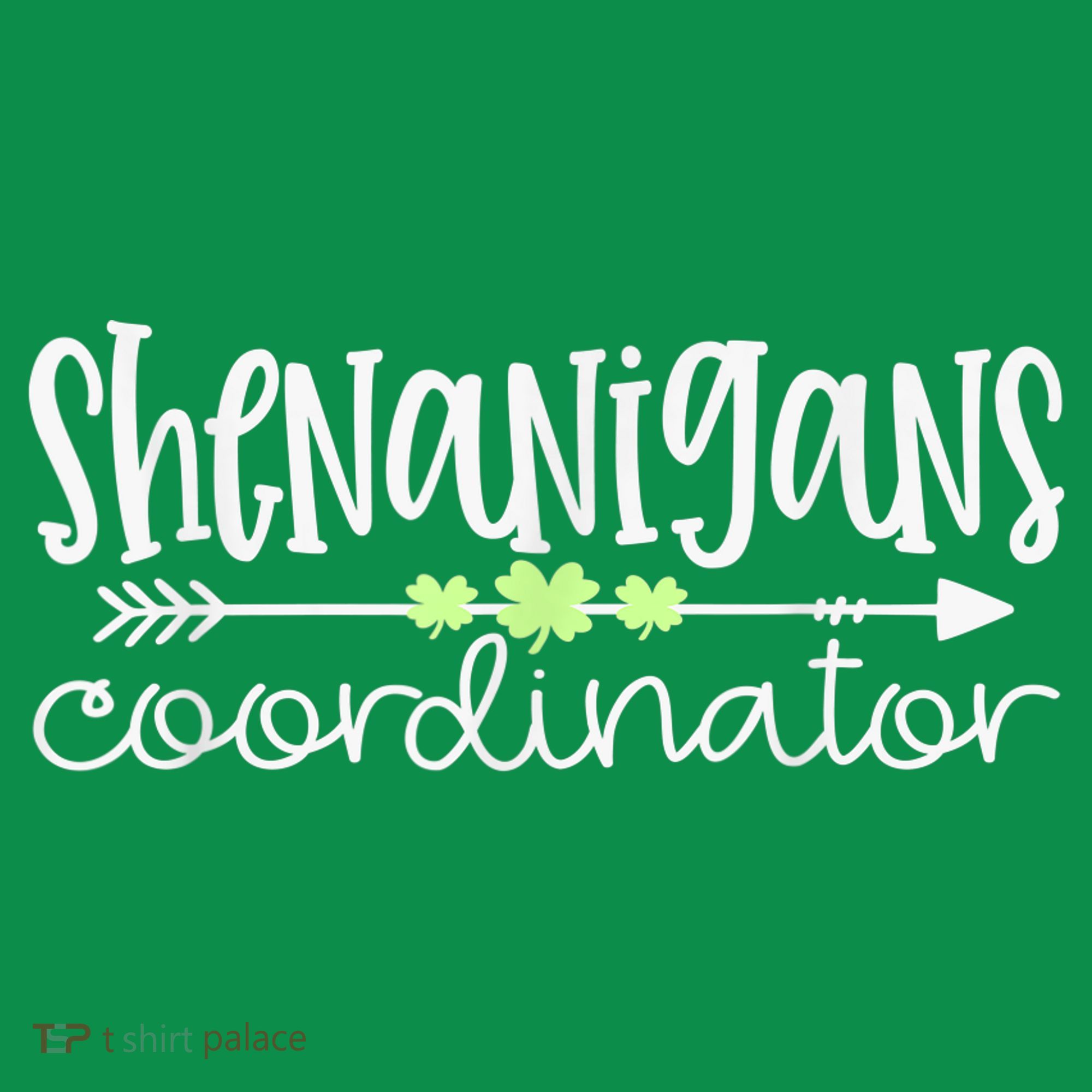 Shenanigans Coordinator Teacher St Patricks Day Shenanigans Kids T-Shirt