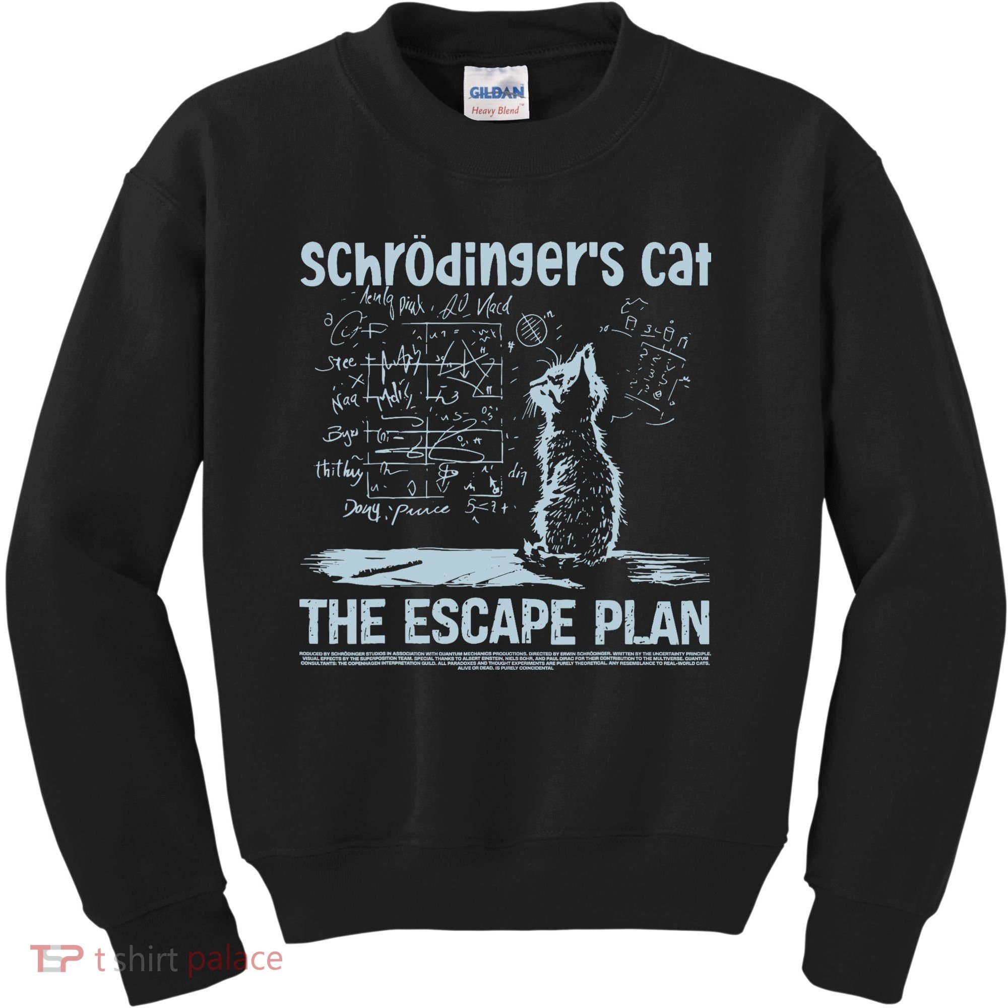 SchröDingers Cat The Escape Plan Funny Science Teacher Kids Sweatshirt