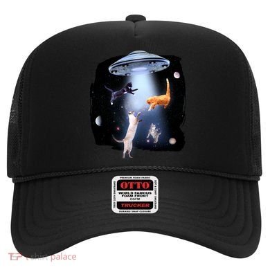 Space Cats UFO Hat