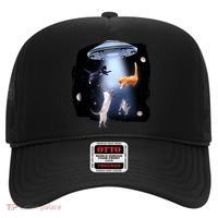 Space Cats UFO Hat thumb 0