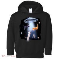 Space Cats UFO Toddler Hoodie thumb 0