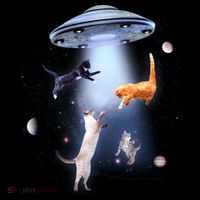 Space Cats UFO Women's Long Sleeve Shirt thumb 2