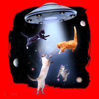 Space Cats UFO Santa Hat thumb 1