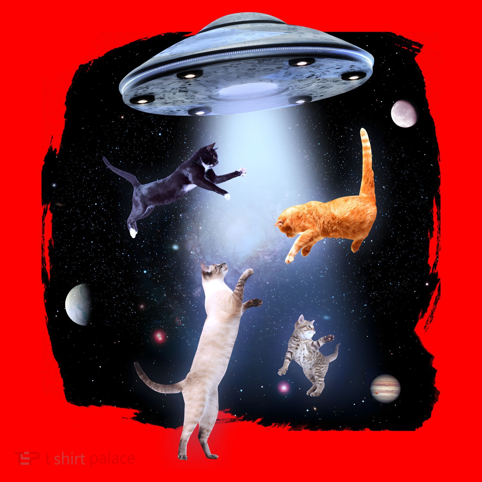 Space Cats UFO Santa Hat