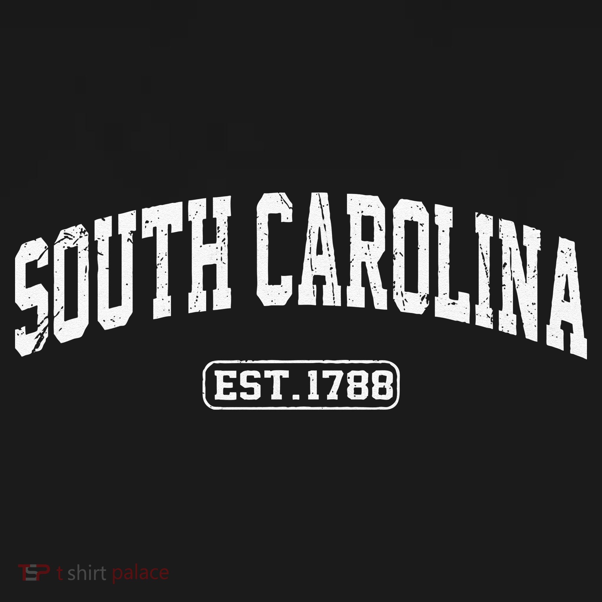 South Carolina Vintage State Athletic Style T-Shirt