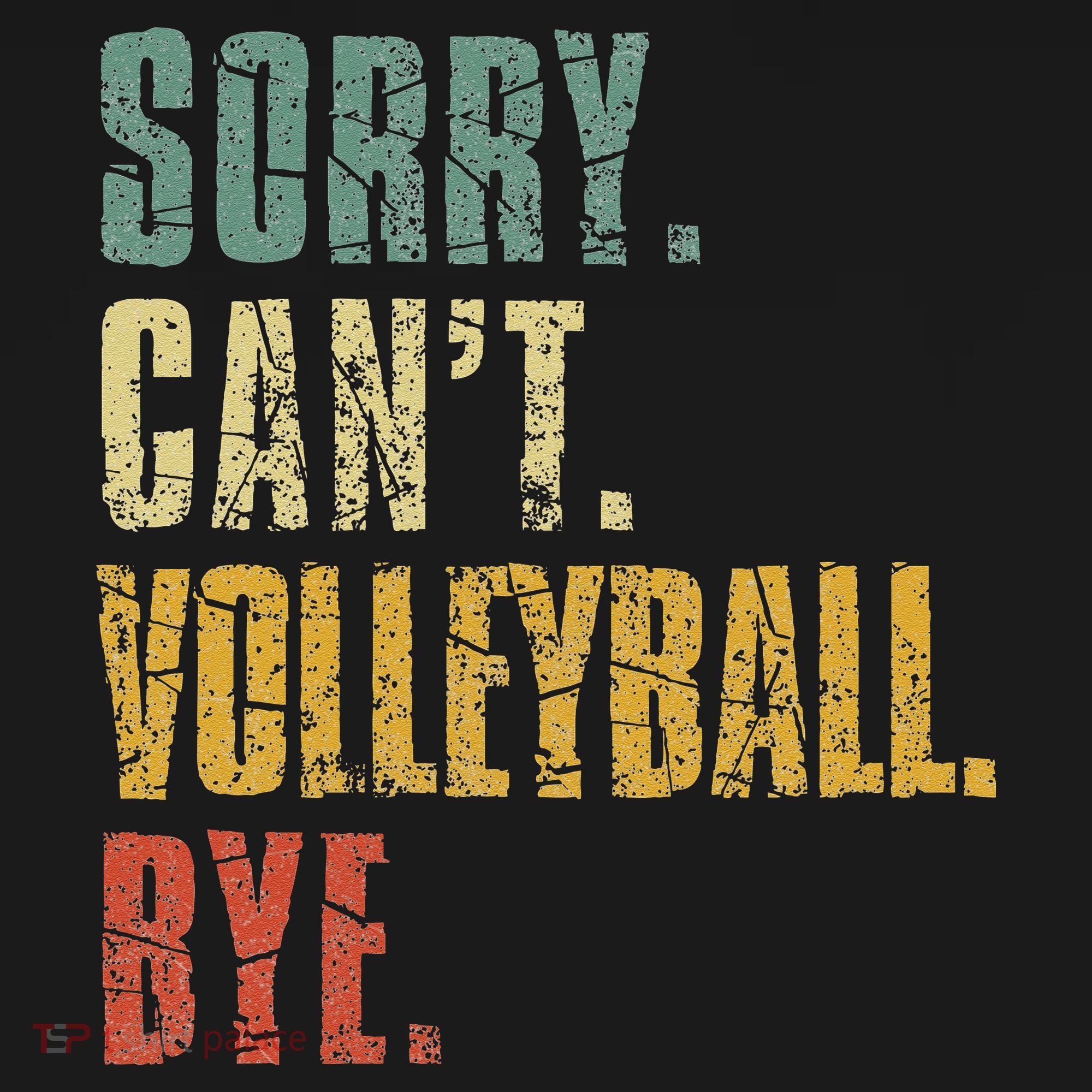 Sorry Cant Volleyball Bye Retro Volleyball Sayings Men Women Pom Pom 12in Knit Beanie
