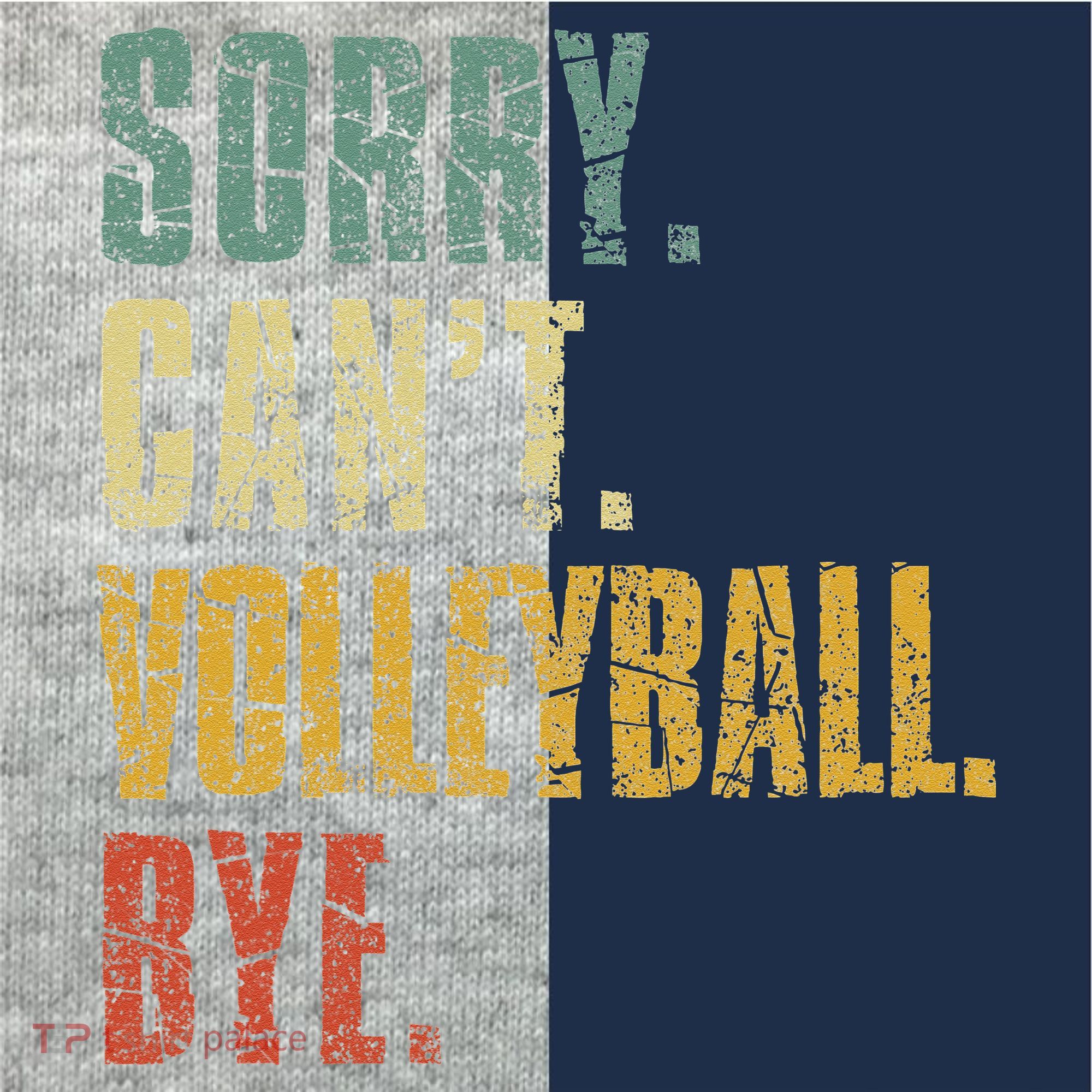 Sorry Cant Volleyball Bye Retro Volleyball Sayings Men Women Kids Colorblock Raglan Jersey