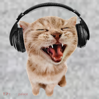 Silly Cat With Headphones The Baniff Cuffed Pom Beanie thumb 2