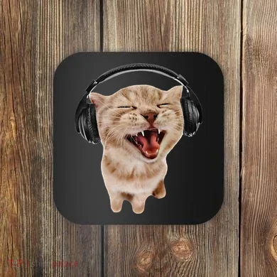 Coaster