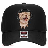 Silly Cat With Headphones Hat thumb 0
