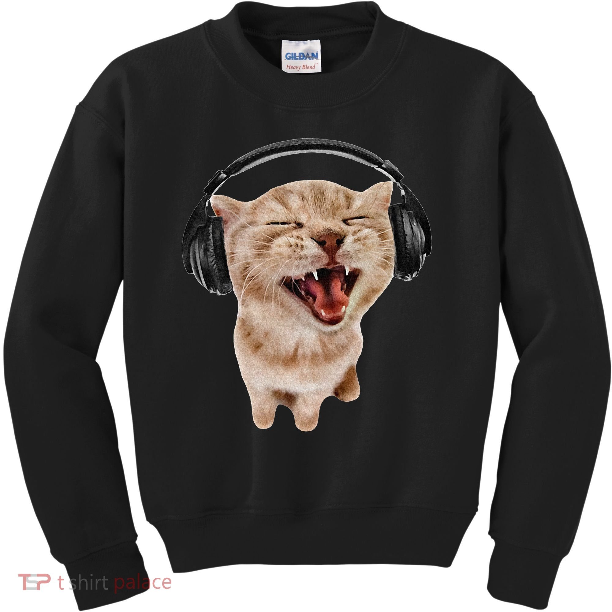 Silly Cat With Headphones Kids Sweatshirt