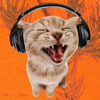 Silly Cat With Headphones Kati Licensed 12" Camo Cuffed Beanie thumb 2