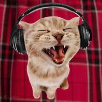 Silly Cat With Headphones Women's Flannel Plaid Pajama Pants thumb 2