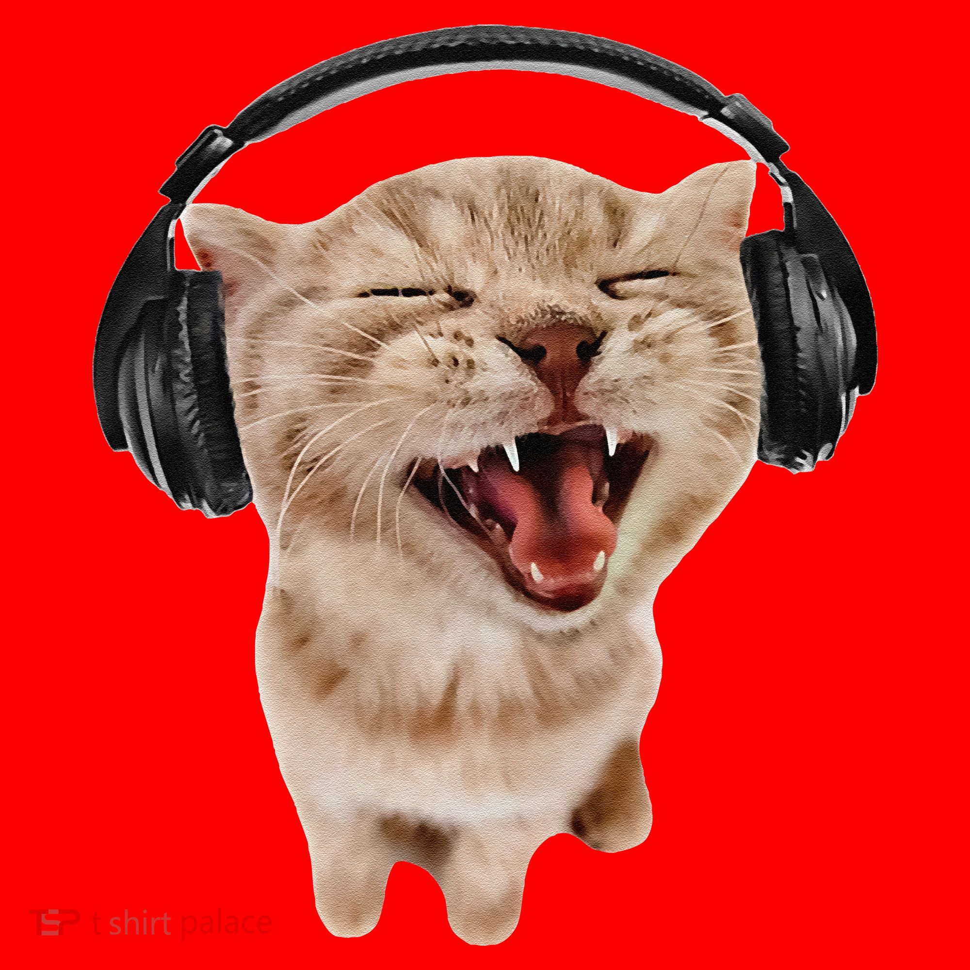 Silly Cat With Headphones Santa Hat
