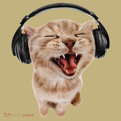 Silly Cat With Headphones Hoodie