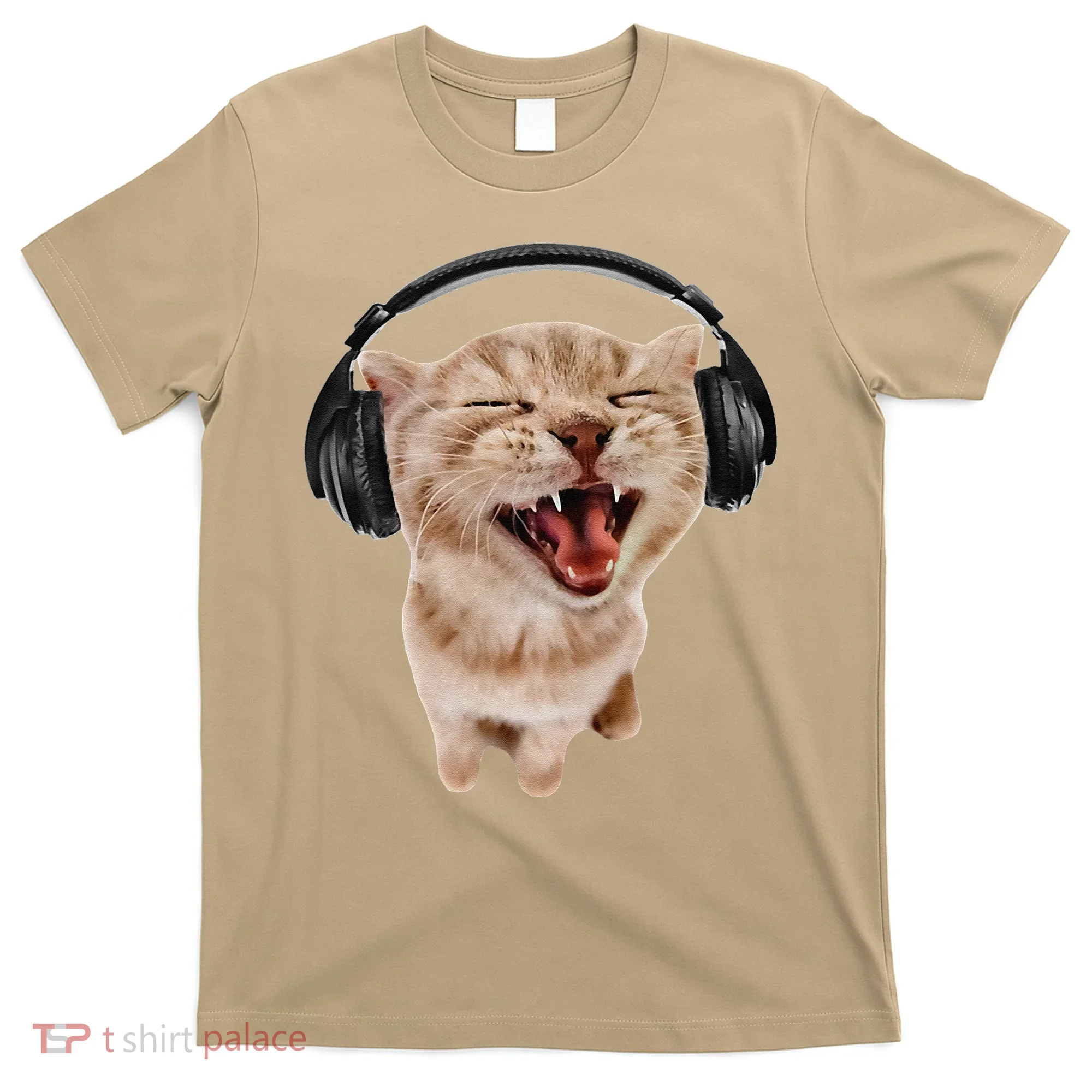 Silly Cat With Headphones T-Shirt