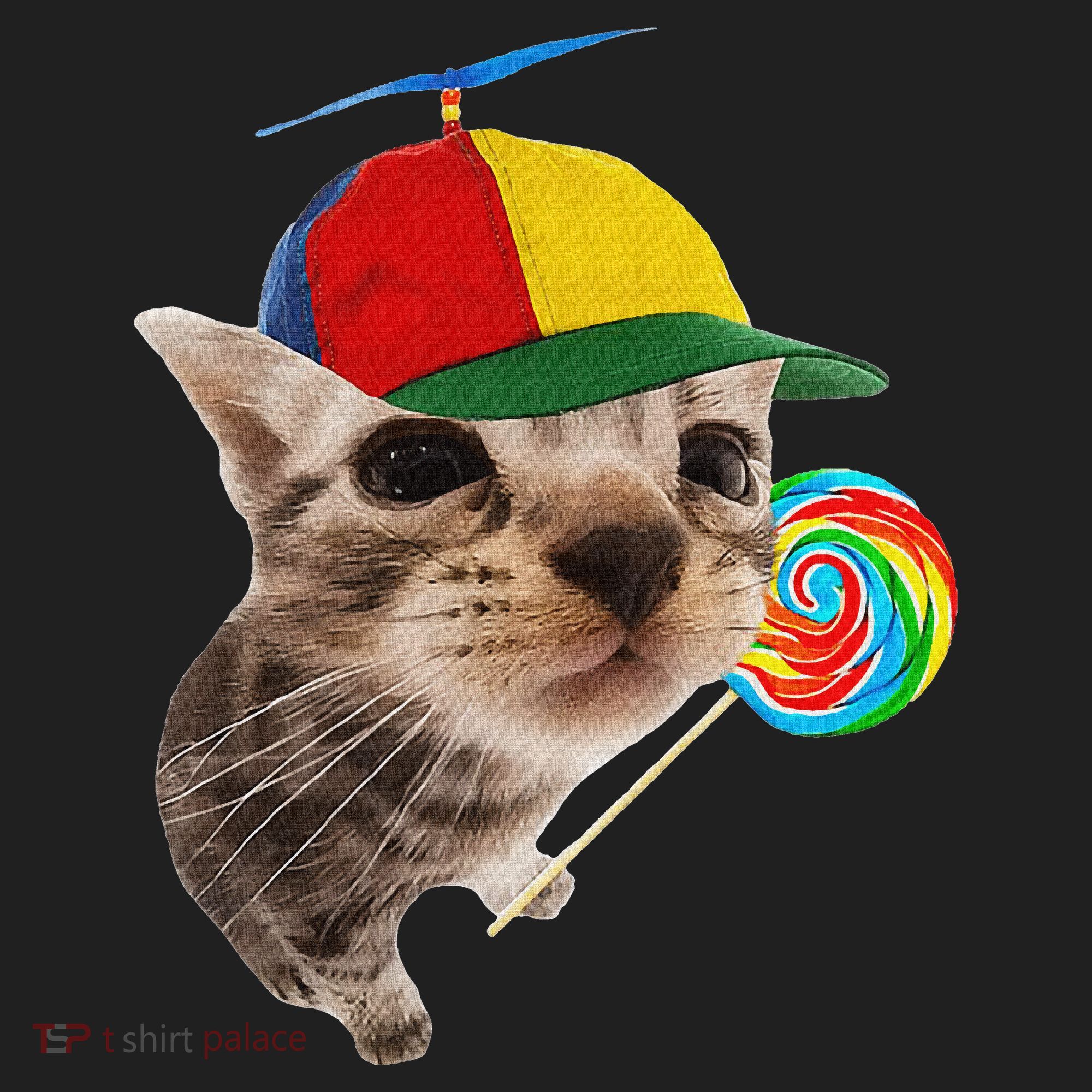 Silly Cat With Lollipop Meme Beanie