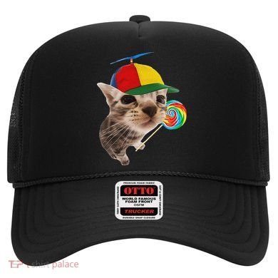 Silly Cat With Lollipop Meme Hat