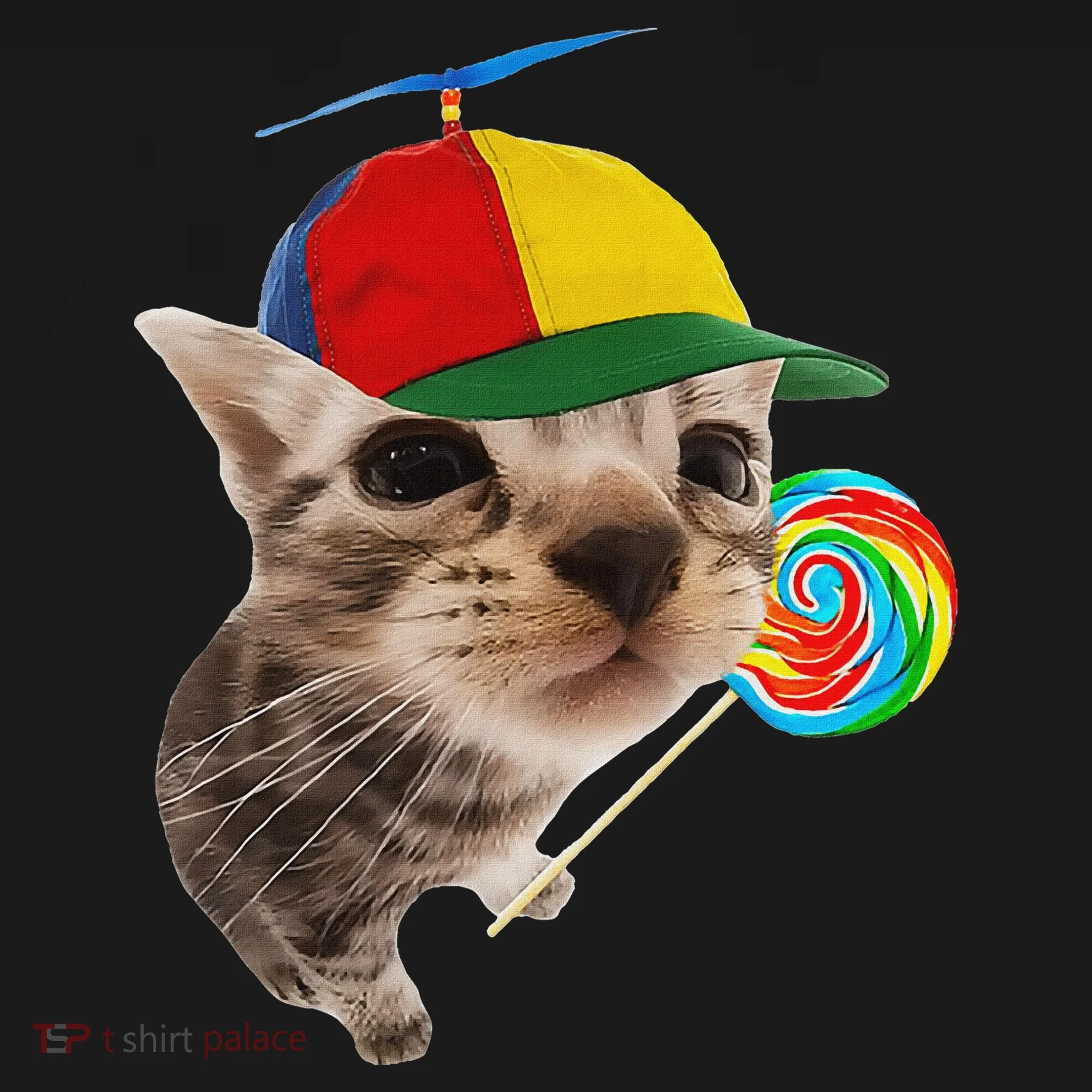 Silly Cat With Lollipop Meme Kids Sweatshirt