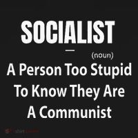 Socialist Definition A Person Too Stupid To Know They Are Mousepad thumb 1